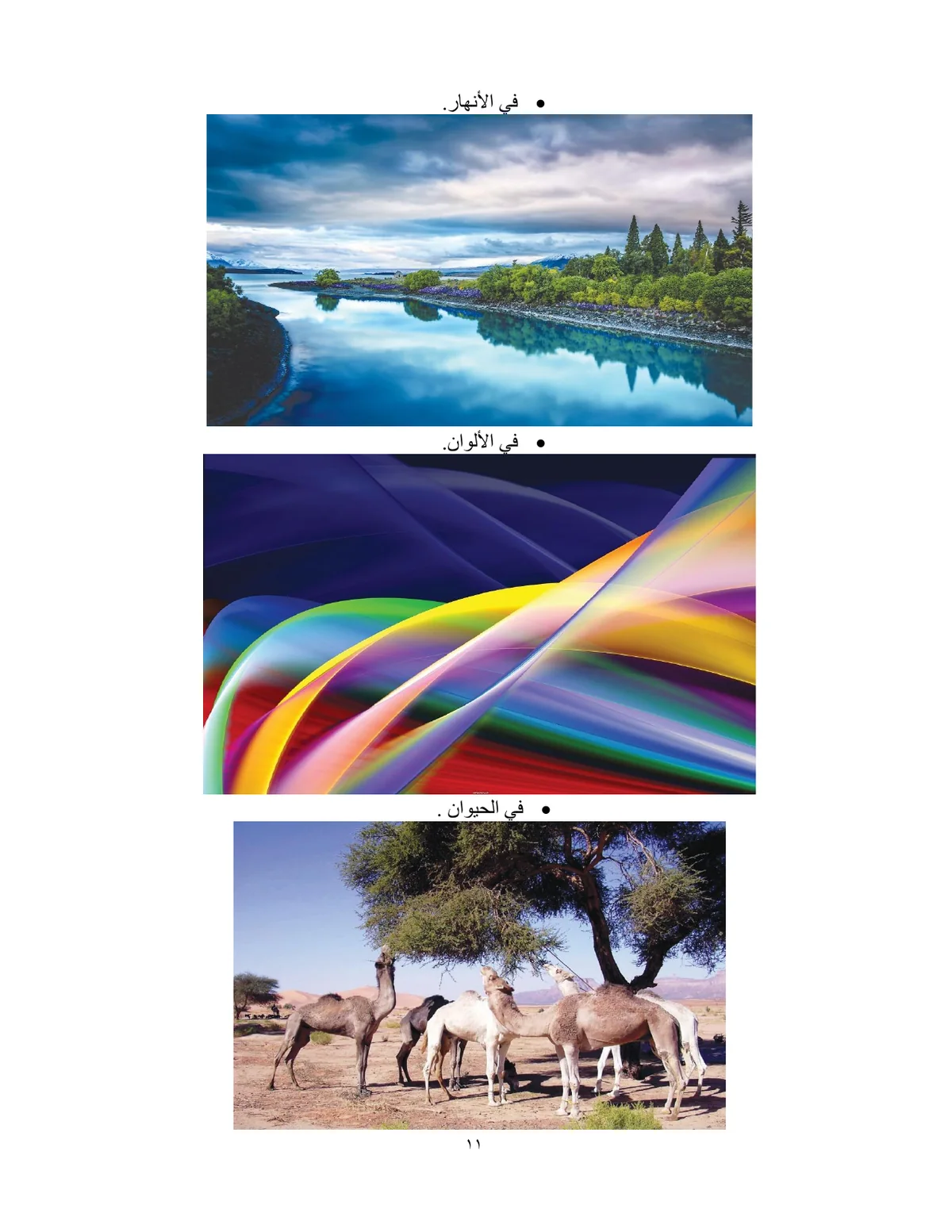 الصفحة 11 من هذا الكتاب
