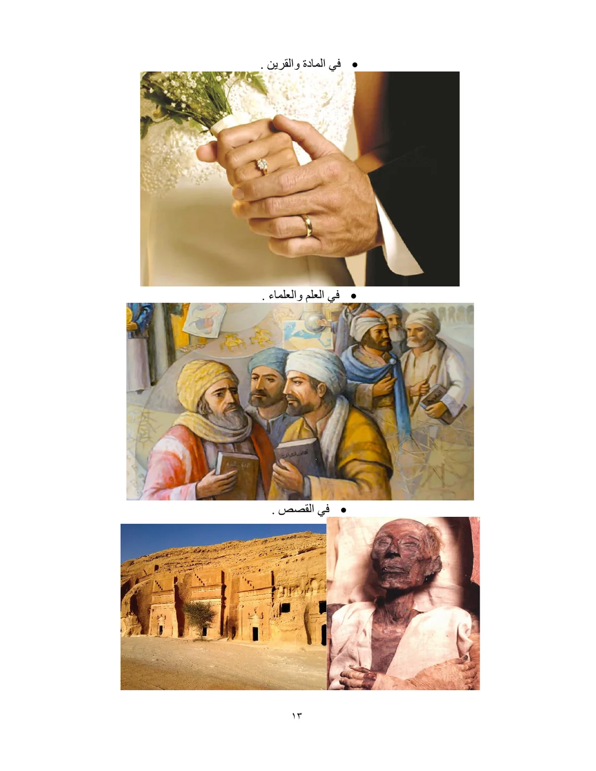 الصفحة 13 من هذا الكتاب