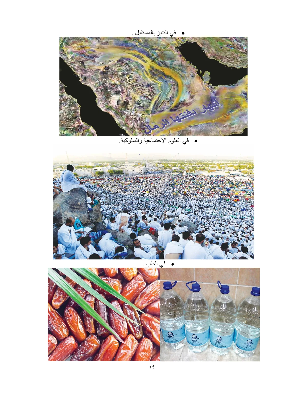 الصفحة 14 من هذا الكتاب